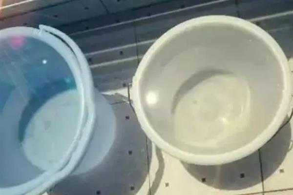 金鱼消化不良如何解决,添加甲硝唑可以帮助它们消化