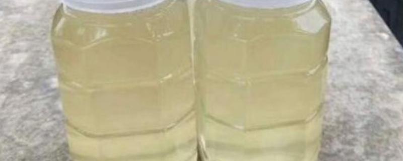 槐花蜜与荆条蜜哪个更贵,前者会更贵