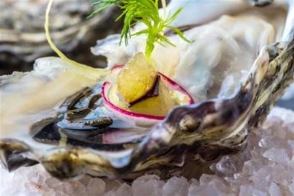 爱尔兰生蚝产于哪里，主产于爱尔兰西北和东南部