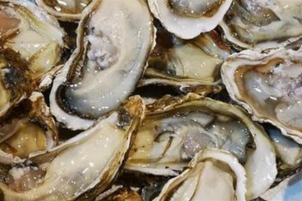 爱尔兰生蚝产于哪里，主产于爱尔兰西北和东南部