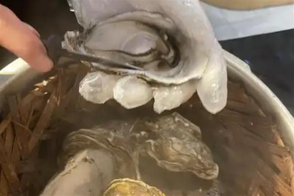 爱尔兰生蚝产于哪里，主产于爱尔兰西北和东南部