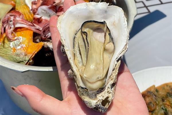 爱尔兰生蚝产于哪里，主产于爱尔兰西北和东南部