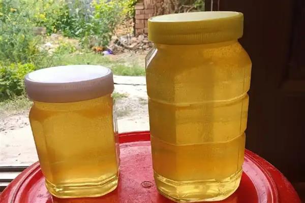 槐花蜜与荆条蜜哪个更贵，前者会更贵