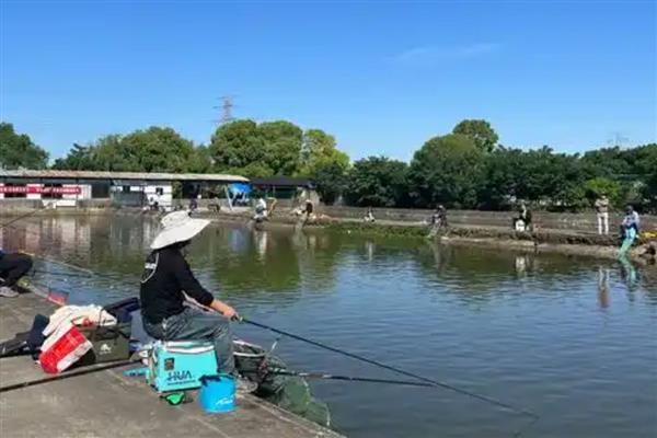 鲶鱼怎么垂钓，常采取手竿钓法、海竿钓法等5种方式