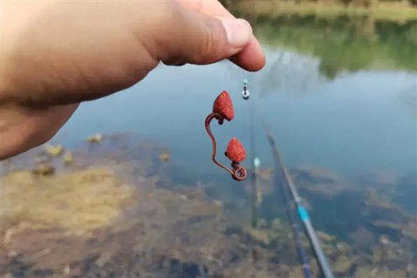 鲶鱼怎么垂钓，常采取手竿钓法、海竿钓法等5种方式