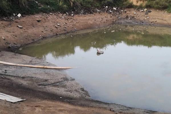 怎么培育石斑鱼种苗，每隔5天左右换一次水