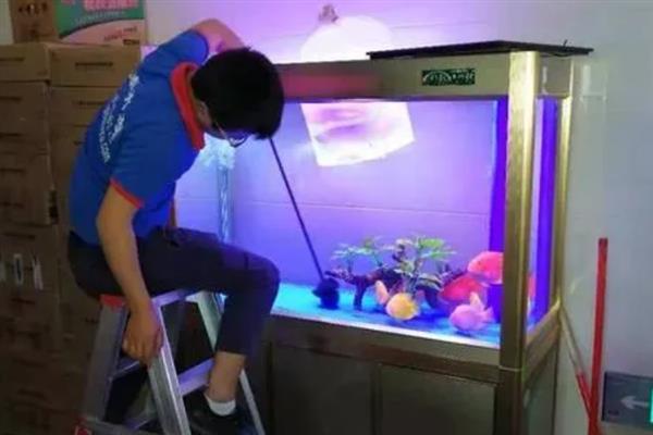 闯缸鱼死了要不要重新开缸，重新开缸养水后再试水