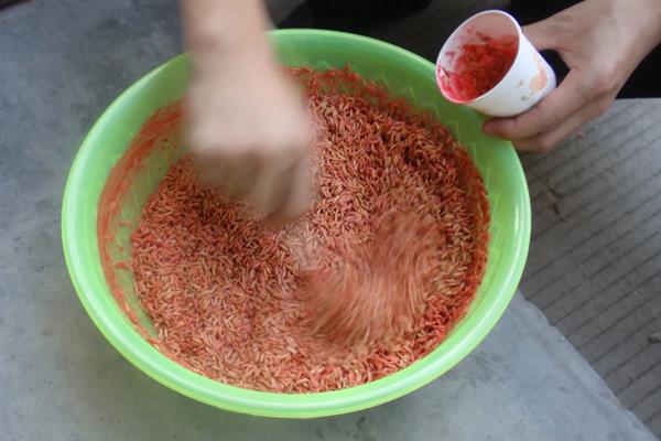 硫酸二氢钾肥的作用，可改善作物的品质