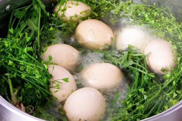 三月三为什么要吃地菜煮鸡蛋，民间具有春食荠菜赛仙丹的说法
