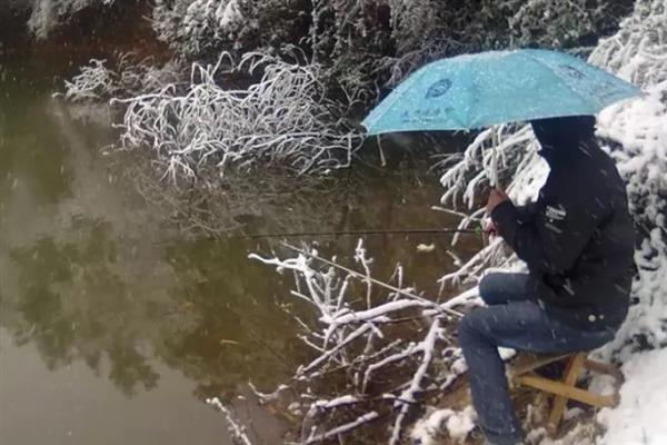 天冷垂钓鲤鱼的方法，需增加垂钓距离和深度