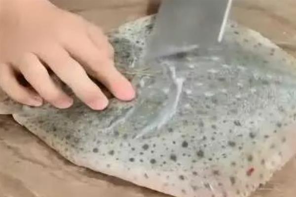 多宝鱼的处理方法，划开肚子再掏出内脏