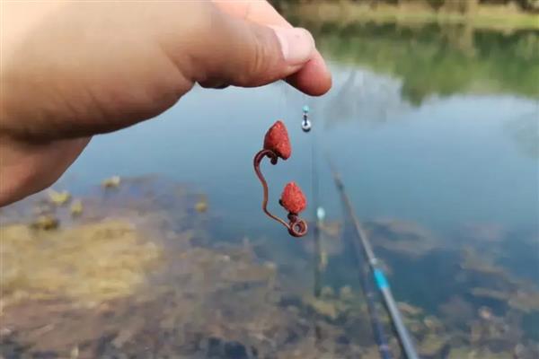 钓鱼时总是顶漂不见黑漂的原因，钓得太钝、饵料太硬、钓点太浅都会导致