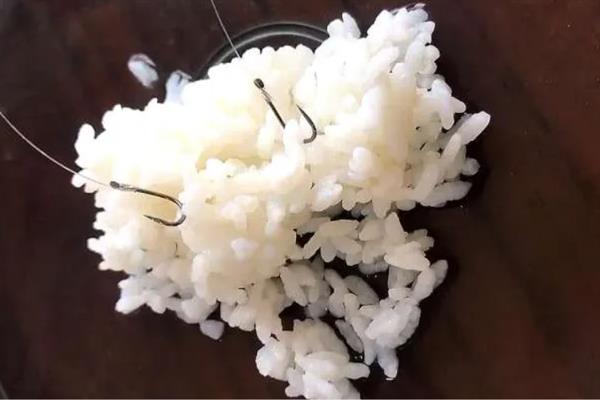 垂钓一二两的鲫鱼用什么鱼钩，选择1-2号的袖钩较合适