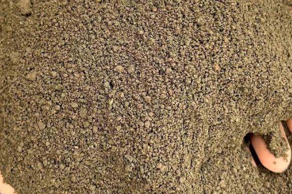 紫鸭跖草怎么养殖,冬季要让盆土保持干燥