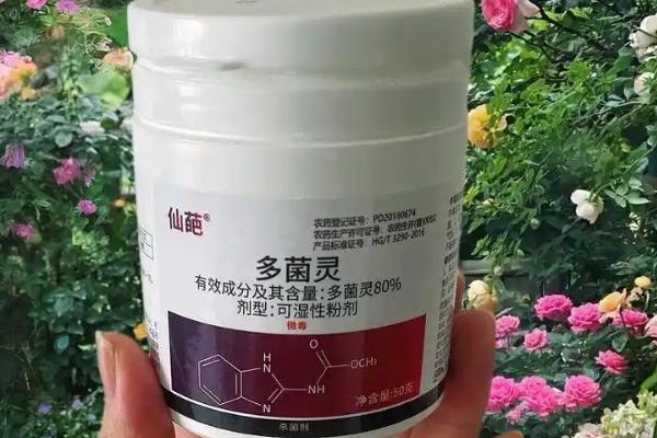 使用多菌灵要注意什么，蔬菜收获前5天需停用