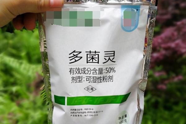 使用多菌灵要注意什么，蔬菜收获前5天需停用