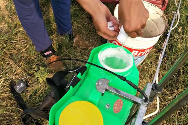 害虫和病菌抗药性发生后如何综合治理,坚持预防为主的原则