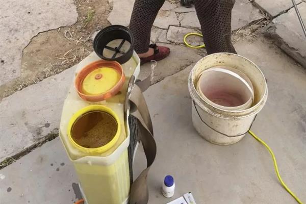 害虫和病菌抗药性发生后如何综合治理,坚持预防为主的原则