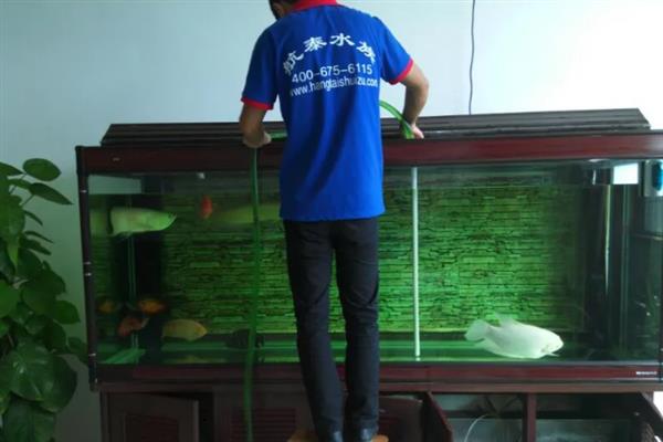 地图鱼趴缸的原因，通常是吃得太多、缺少氧气等因素引起