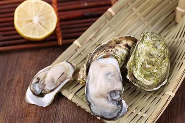 生蚝是什么，是一种优质的海产贝类