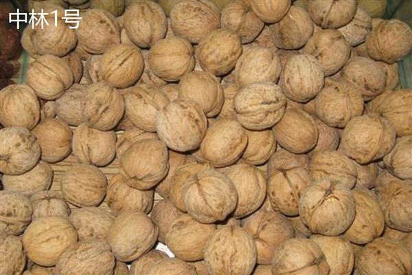 核桃的价格，一斤需要10-20元左右
