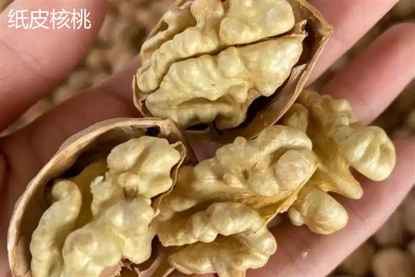 薄皮核桃和纸皮核桃的区别，外壳厚度、口感和含油量均不同