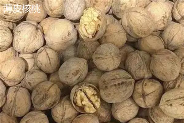 薄皮核桃和纸皮核桃的区别，外壳厚度、口感和含油量均不同