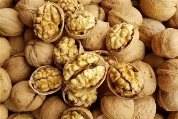 薄皮核桃和纸皮核桃的区别，外壳厚度、口感和含油量均不同