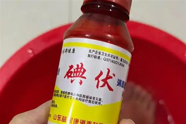 接猫前后要准备什么，需提前1天对房屋消毒