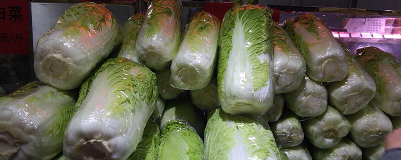 白菜可以放冰箱冷藏么，白菜能放冰箱冷藏