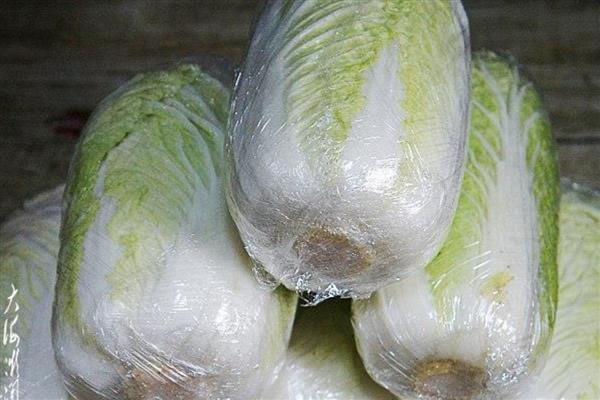 白菜可以放冰箱冷藏么，白菜能放冰箱冷藏