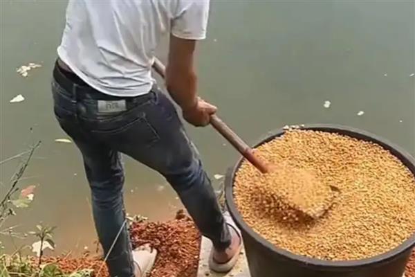 打隔夜窝的用量，温度低的话用10斤以下窝料即可