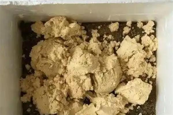 如何用黄豆做有机肥，浸泡后充分煮熟再装入瓶中发酵