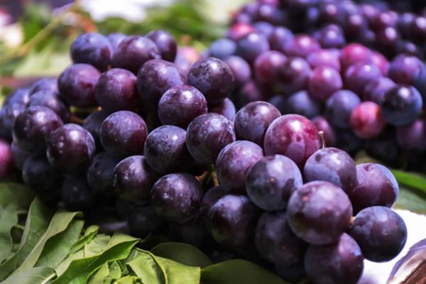 夏季的水果有哪些，有西瓜、芒果、桃子、葡萄等