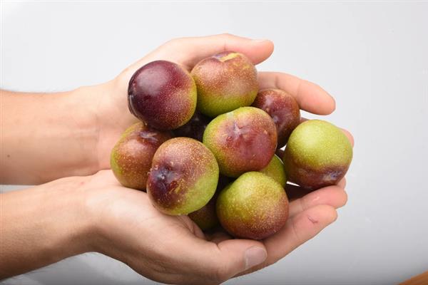 夏季的水果有哪些，有西瓜、芒果、桃子、葡萄等