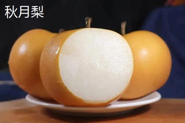夏季的水果有哪些，有西瓜、芒果、桃子、葡萄等