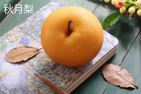 夏季的水果有哪些，有西瓜、芒果、桃子、葡萄等