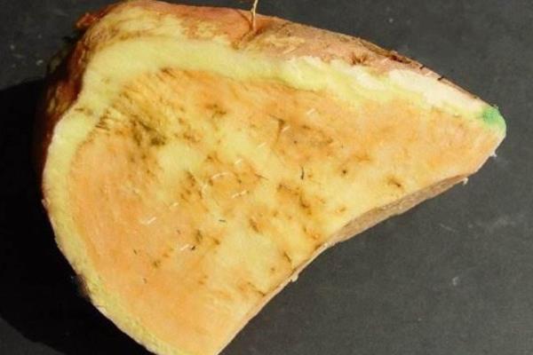 红薯怎么管理，追施尿素可加快薯苗生长