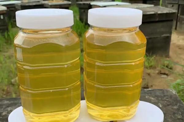 椴树蜜怎么吃,直接喝或用温开水冲服