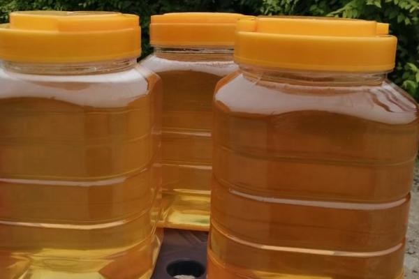 椴树蜜怎么吃,直接喝或用温开水冲服