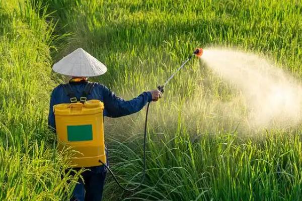 农药有什么种类，按用途可分为杀菌剂、杀虫剂、杀螨剂等类型