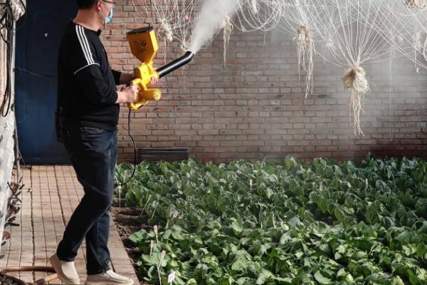 有露水能不能打药，喷施后会降低药效