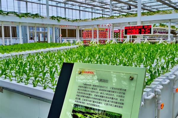 新农业产业有什么项目，分为农村新能源项目、新型农资产品项目等类型