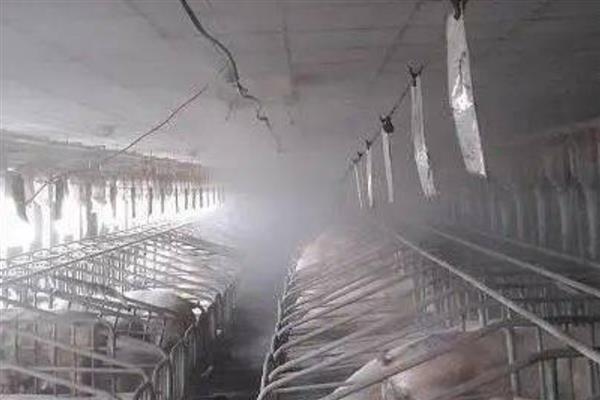 北方冬天怎么给猪圈增温，安装供暖设备可以提高温度