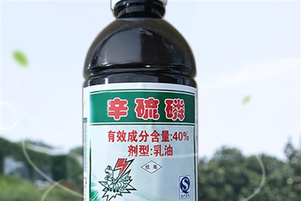 辛硫磷能不能叶面喷施，叶面喷施的持效期较短