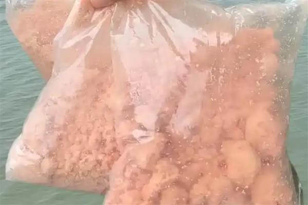 钓鲢鳙用什么饵料，经常用到的就是面饵