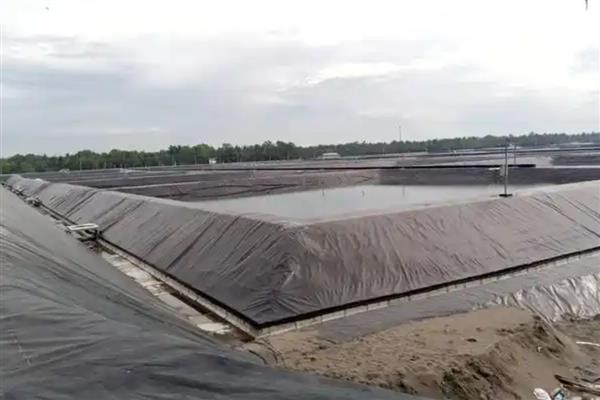 水产养殖用多厚的防渗膜，厚度达到0.5毫米便非常实用