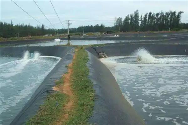 水产养殖用多厚的防渗膜，厚度达到0.5毫米便非常实用