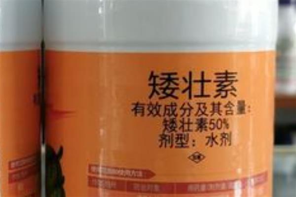 玉米什么时候控旺，6-10叶期打控旺药