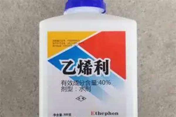 玉米什么时候控旺，6-10叶期打控旺药
